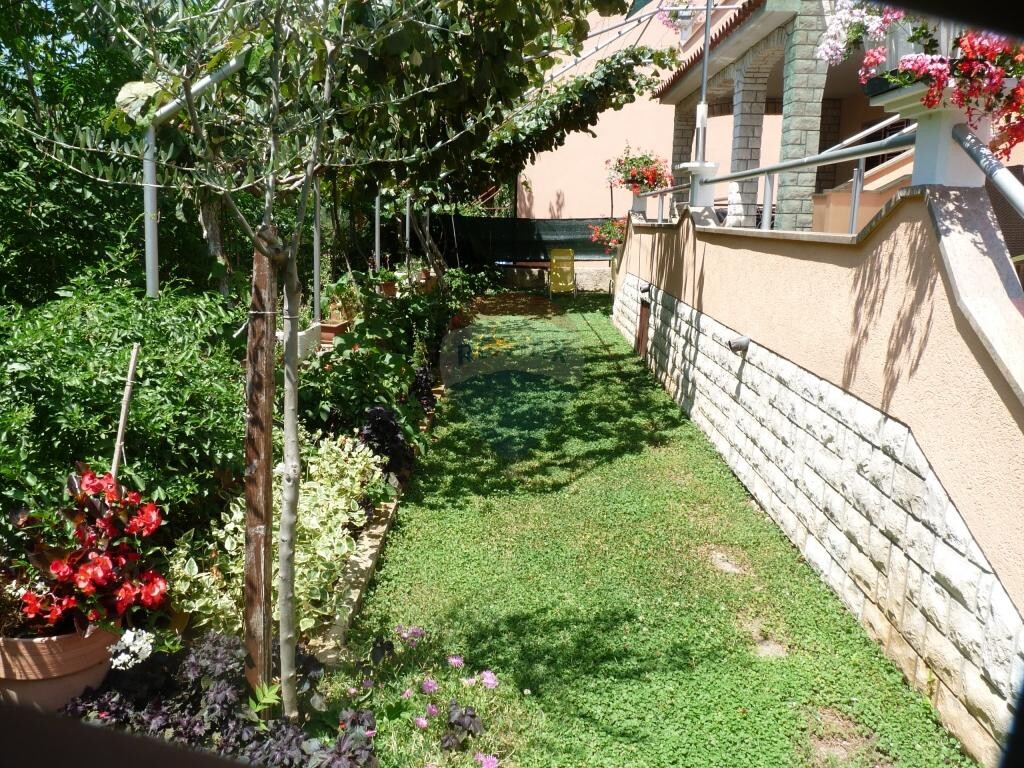 Image 5410695 - 4