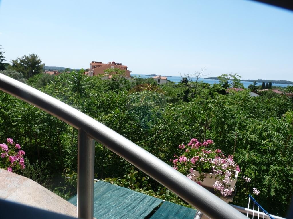 Image 5410695 - 15
