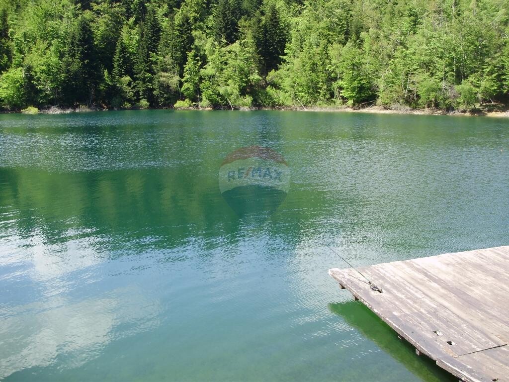 Image 5410705 - 4
