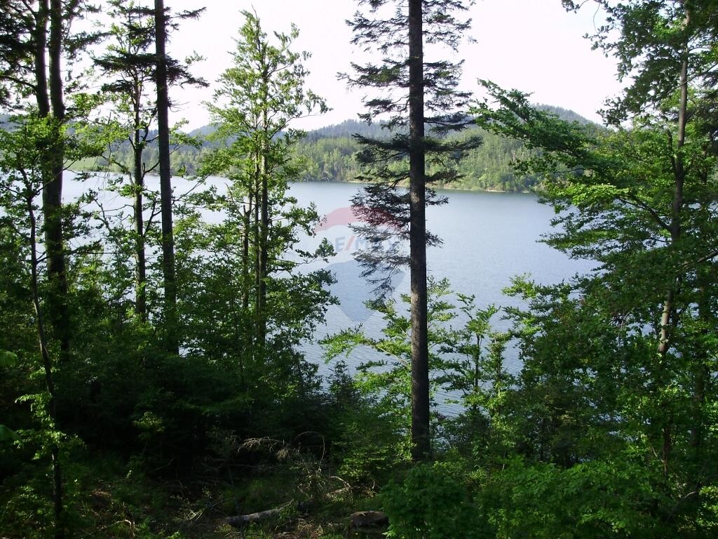 Image 5410705 - 2