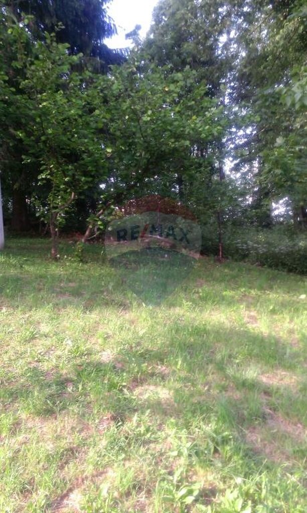 Image 5410709 - 3