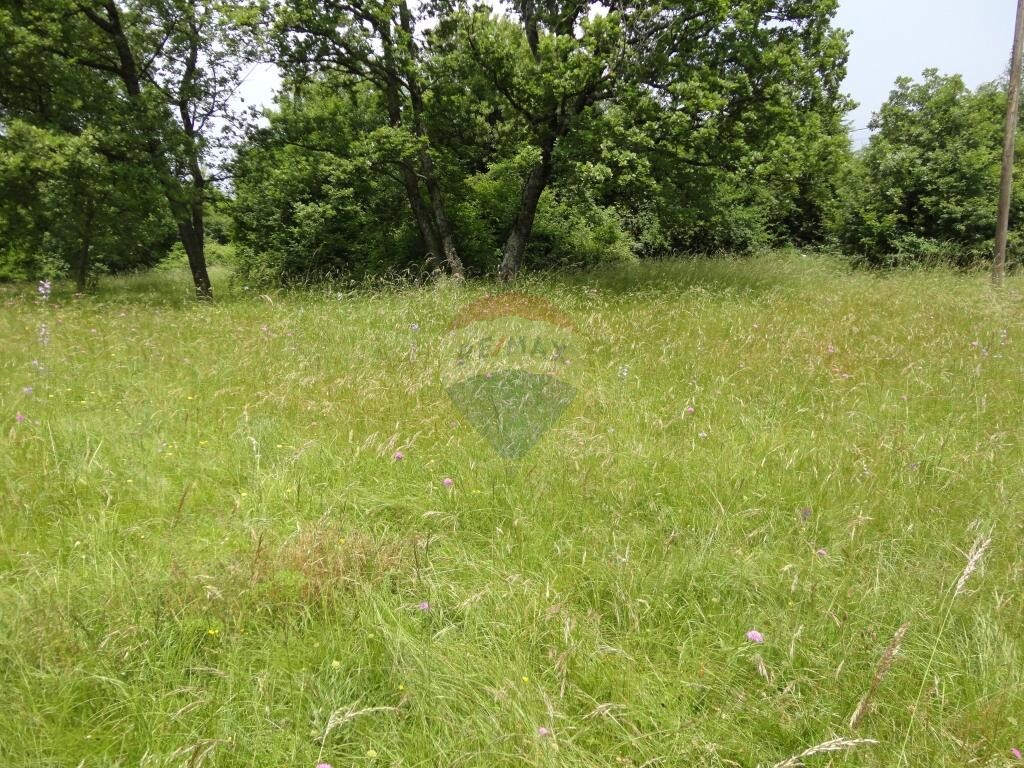 Image 5410710 - 2