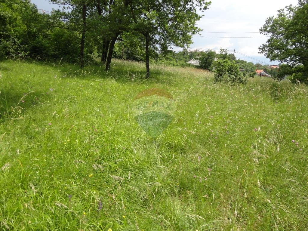 Image 5410710 - 3