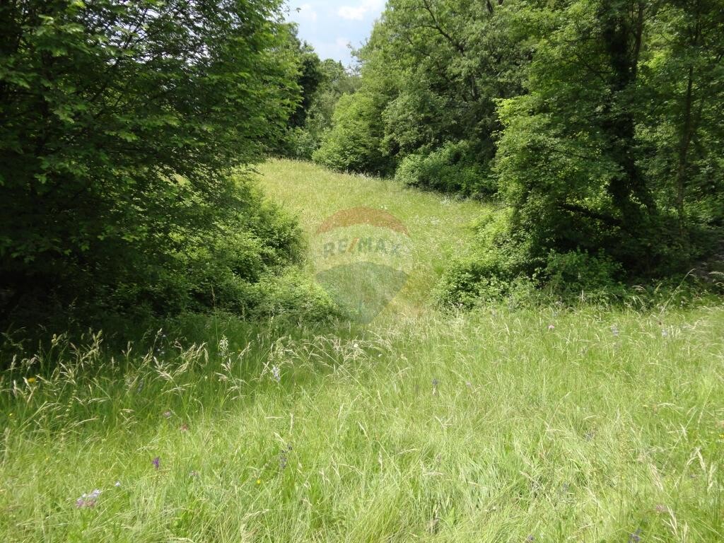 Image 5410710 - 4