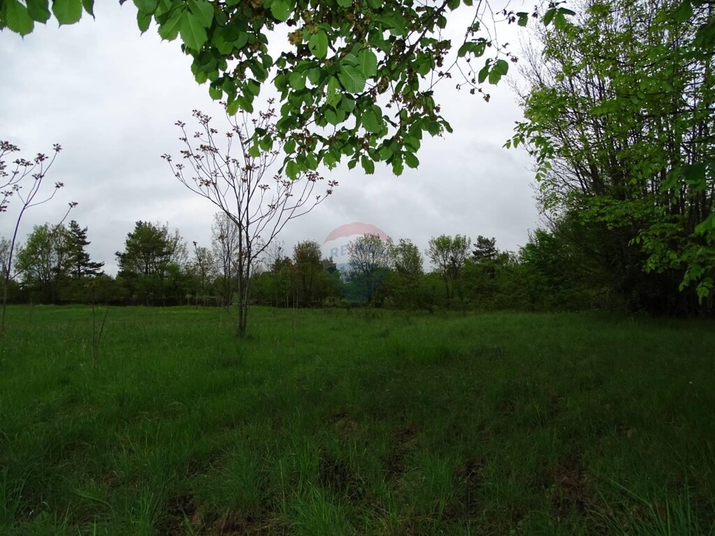 Image 5410718 - 2