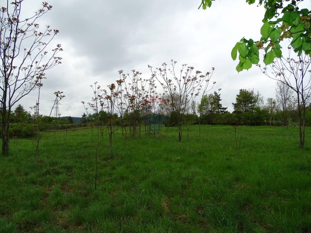 Image 5410718 - 3