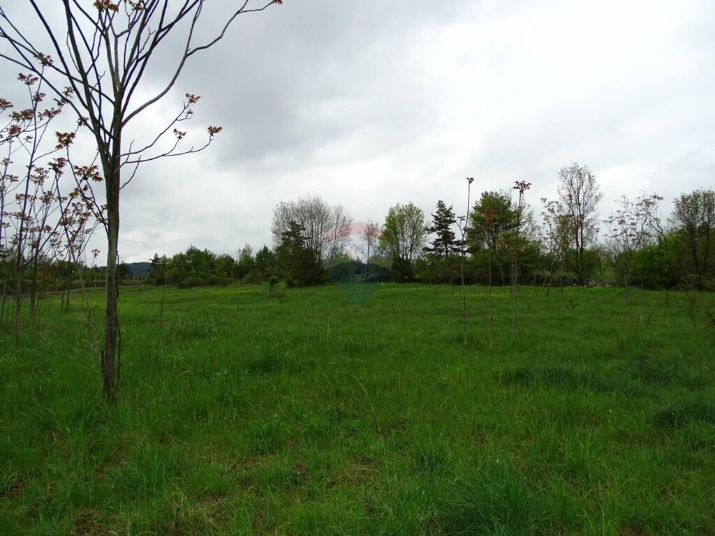 Image 5410718 - 4