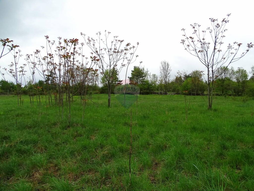 Image 5410718 - 1