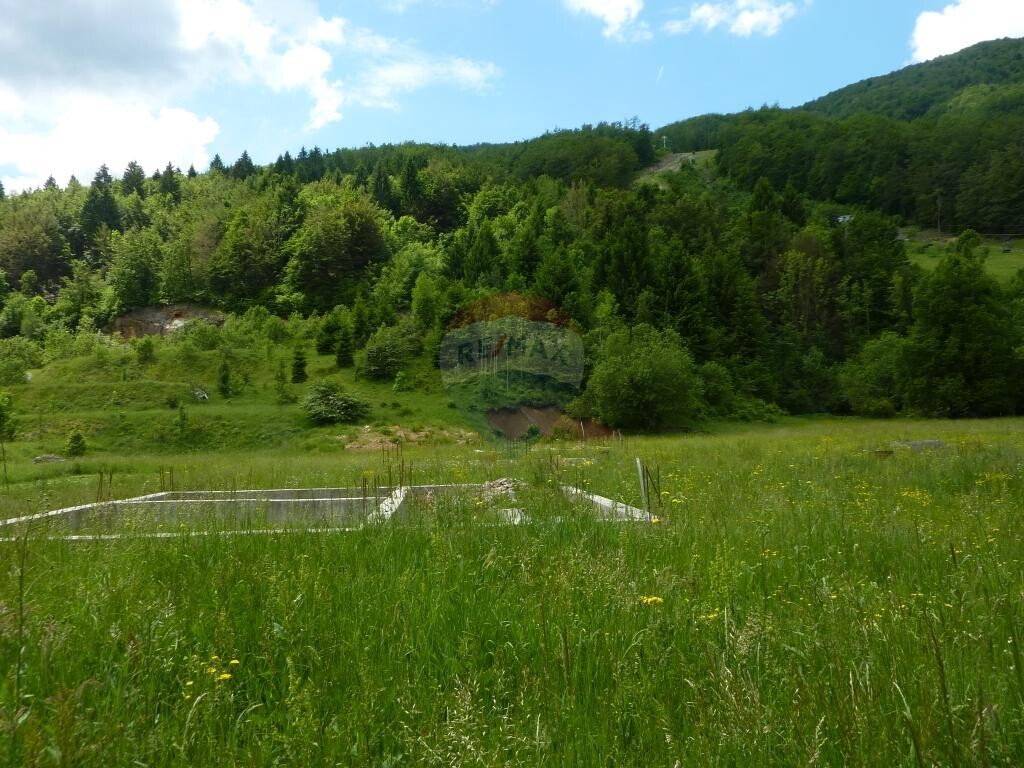 Image 5410724 - 3