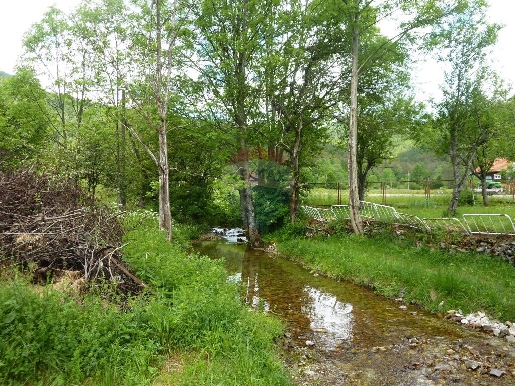 Image 5410724 - 4