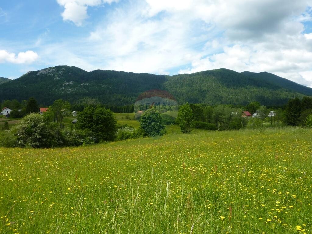 Image 5410725 - 1