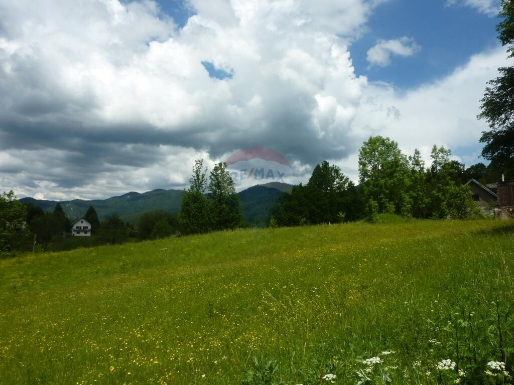 Image 5410725 - 3
