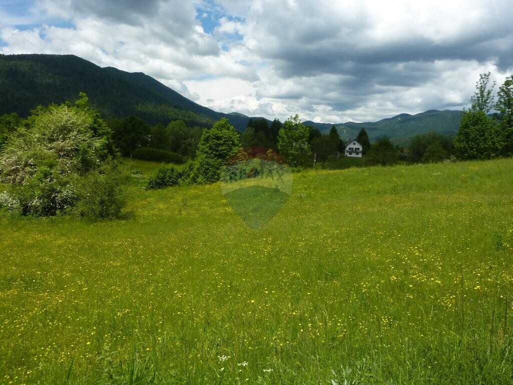 Image 5410725 - 2
