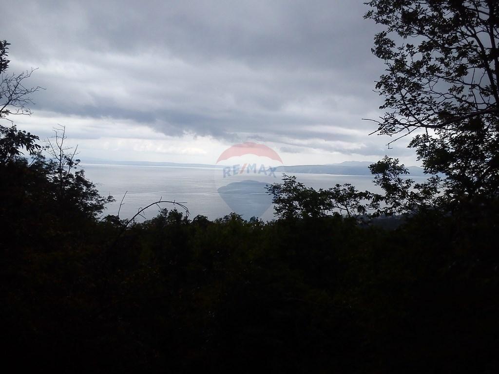 Image 5410734 - 1