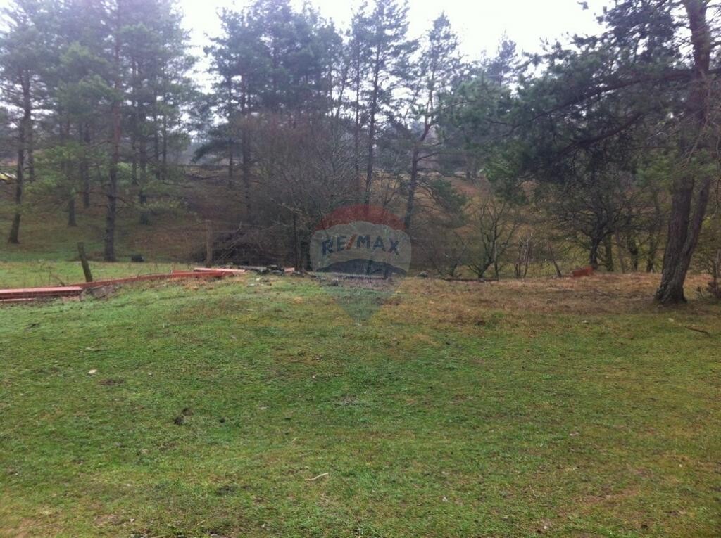 Image 5410747 - 2