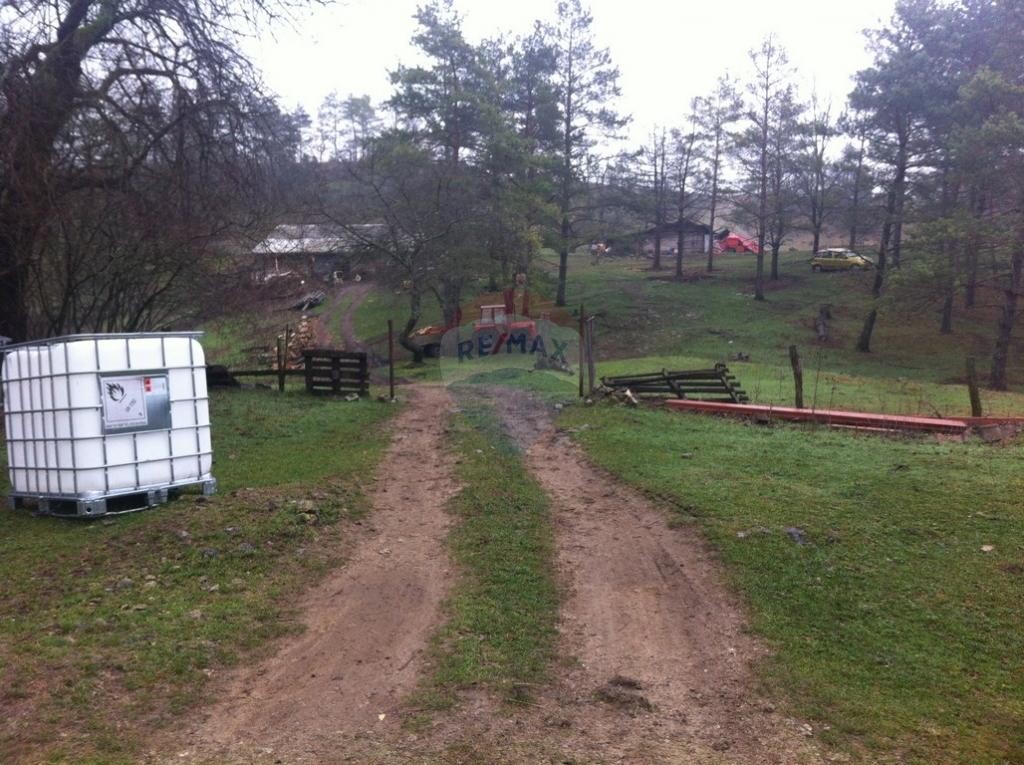 Image 5410747 - 1