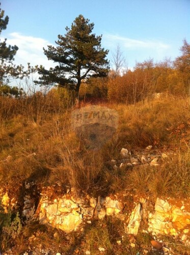 Cernik Cavle gradevinski teren