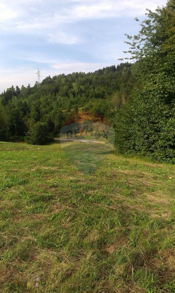Image 5410800 - 2
