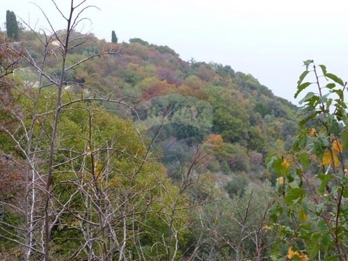BRSEČ - 7.067 m2 - NEGRAĐEVINSKI TEREN