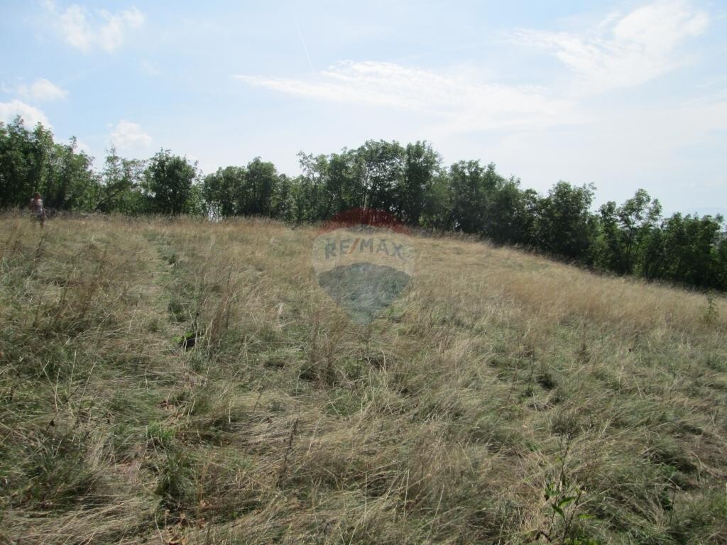 Image 5410811 - 7