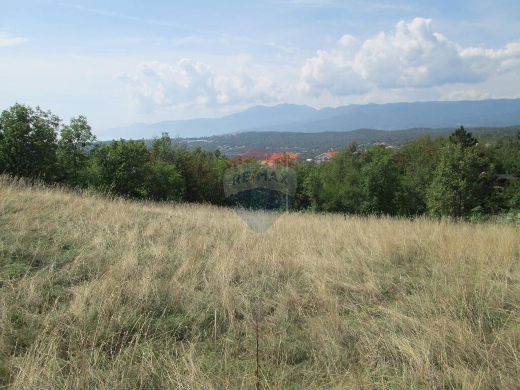 Image 5410811 - 5