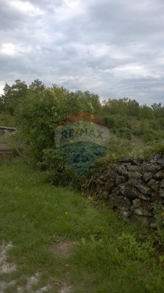 Image 5410827 - 4