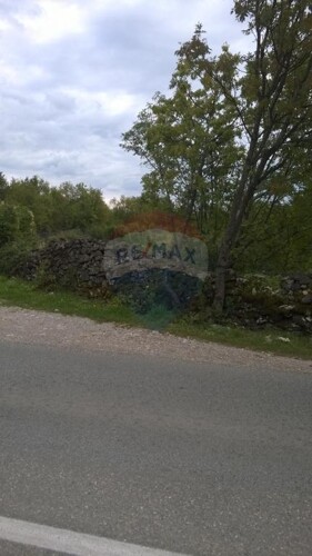 Thumbnail 5410827 - 5