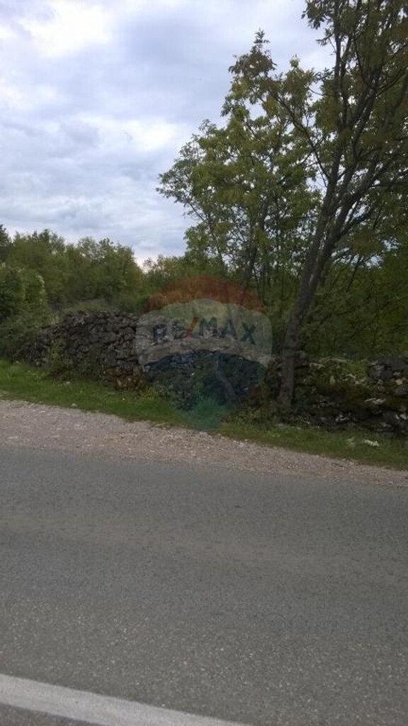 Image 5410827 - 5
