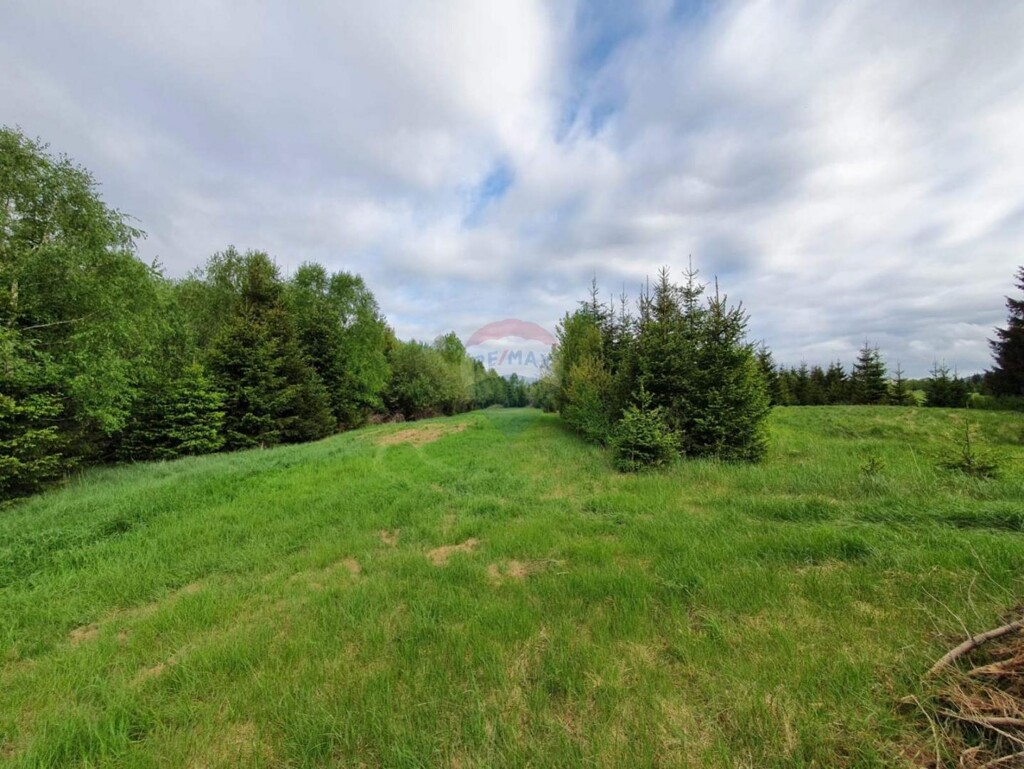 Image 5410831 - 5