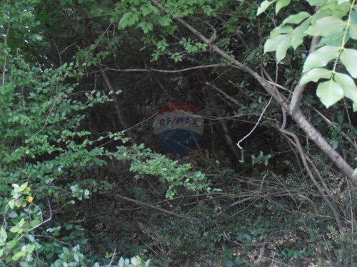 Thumbnail 5410853 - 6
