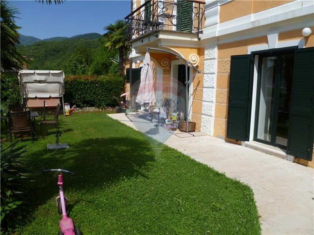 Image 5410859 - 2
