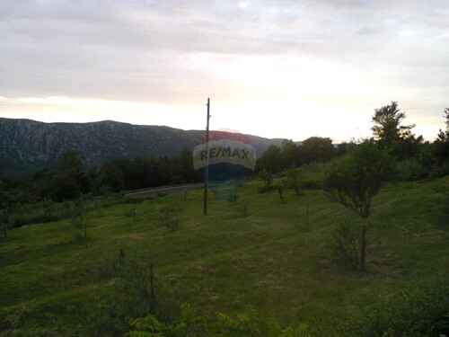 Grižane, poljoprivredno zemljište 3500m2!