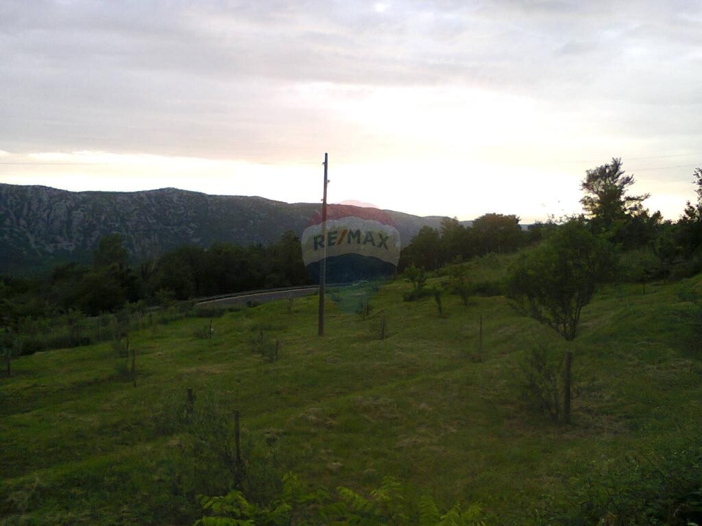 Image 5410864 - 1