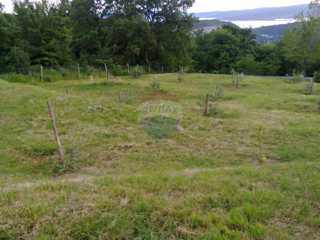 Image 5410864 - 2