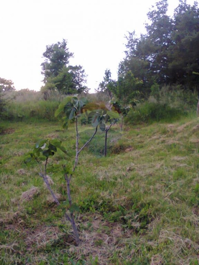 Image 5410864 - 3