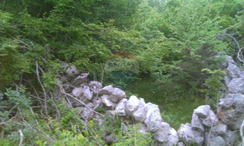 Krk poljoprivredno zemljište sa pristupnim putem