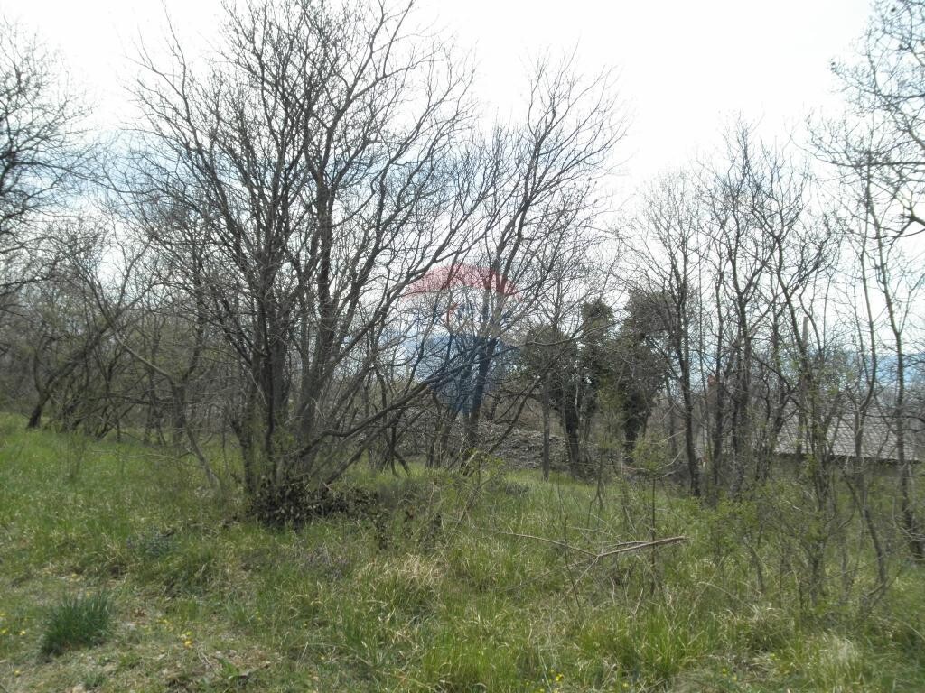 Image 5410887 - 4