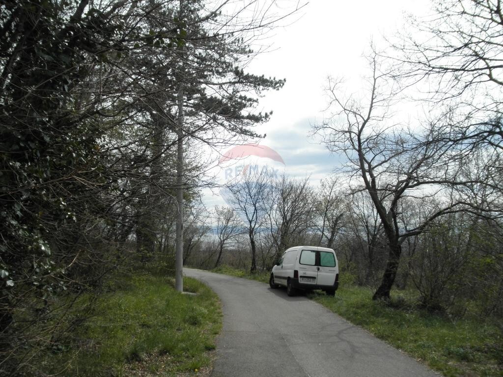 Image 5410887 - 6