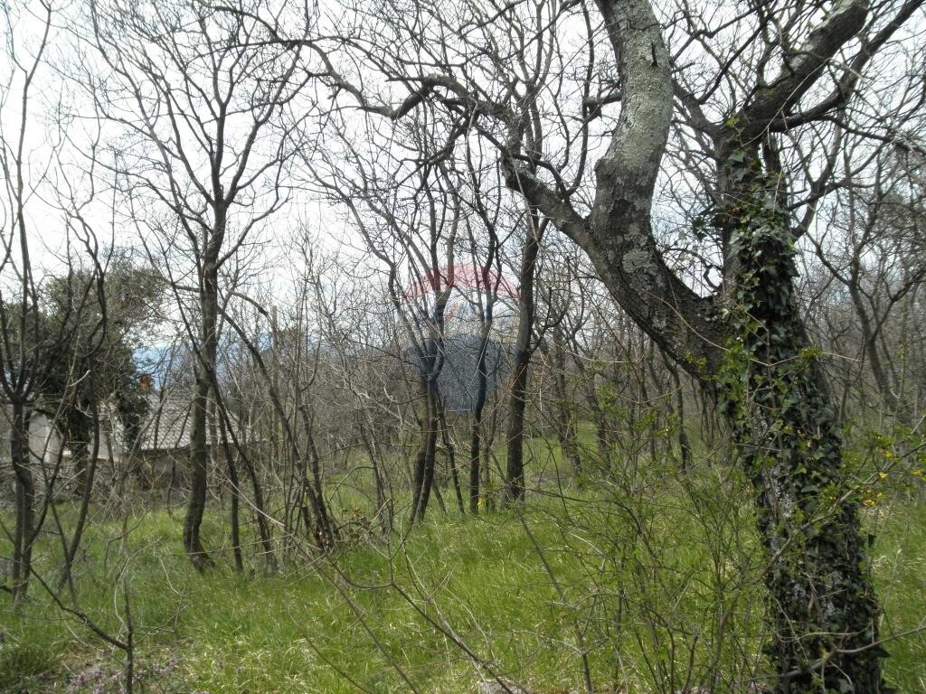 Image 5410887 - 5