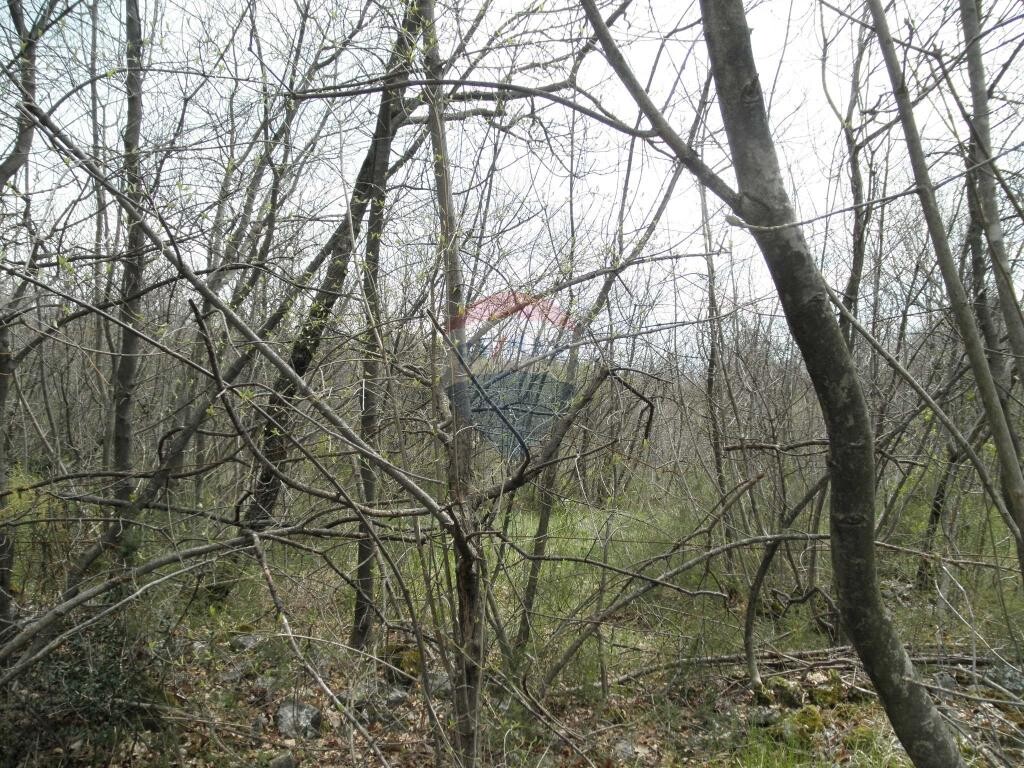 Image 5410887 - 2