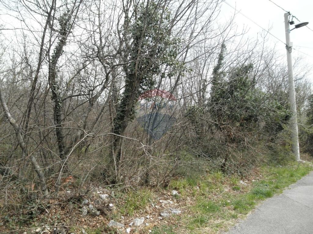 Image 5410887 - 3