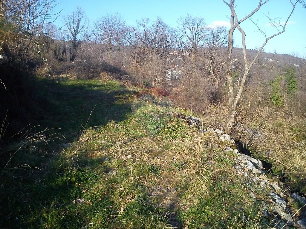 Image 5410900 - 4