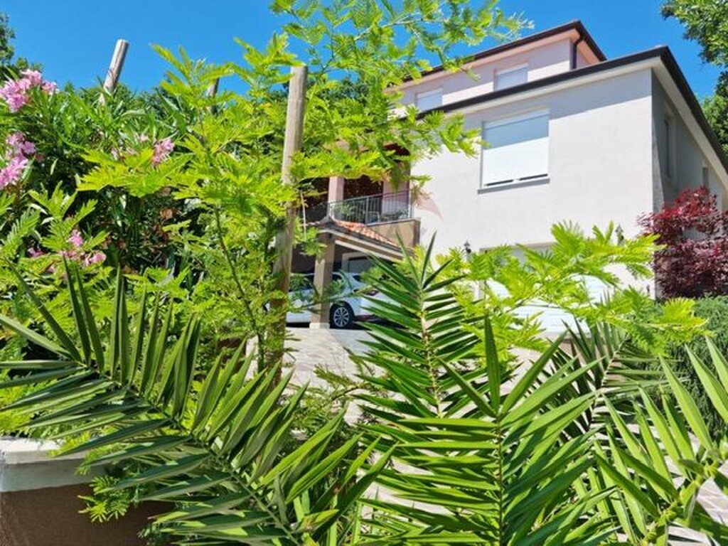 Image 5410906 - 3