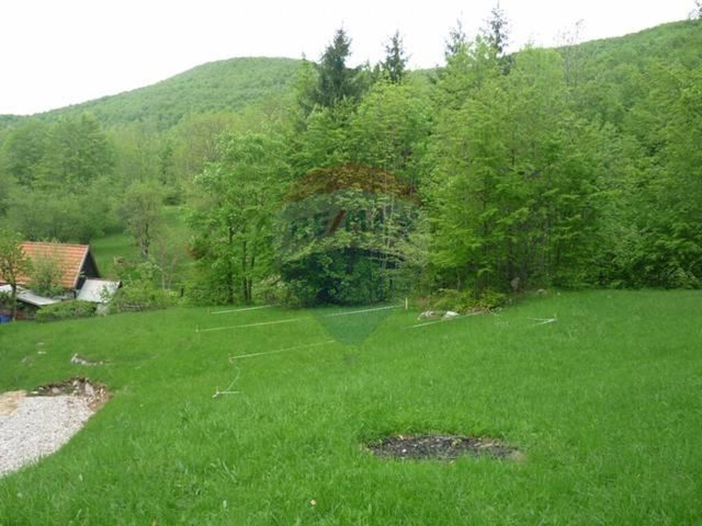 Image 5410908 - 1