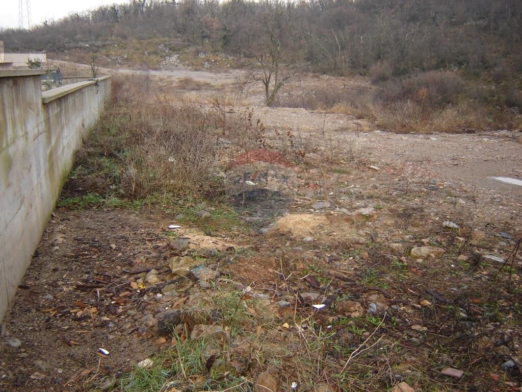 Image 5410933 - 1