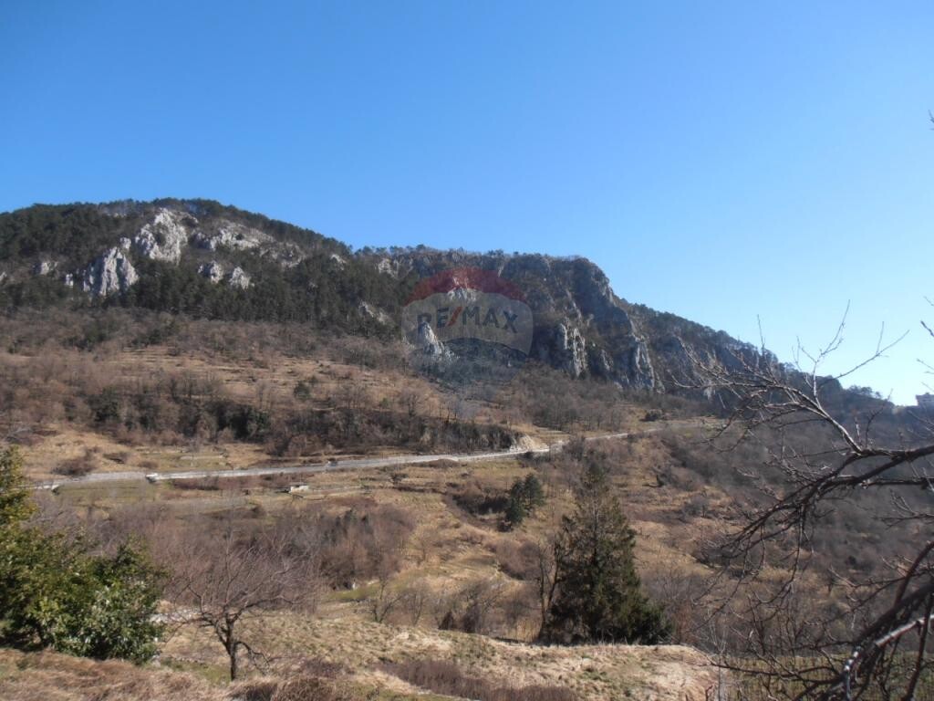 Image 5410945 - 13