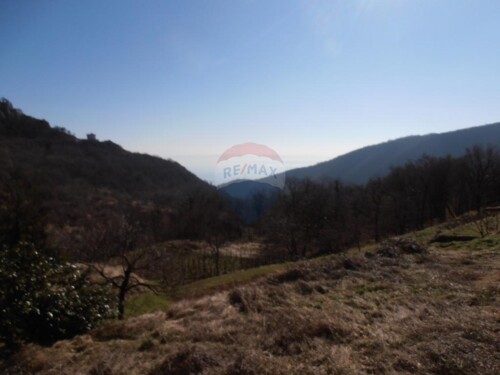 Thumbnail 5410945 - 8