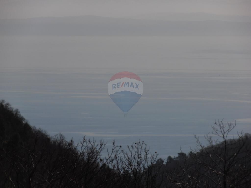 Image 5410945 - 15
