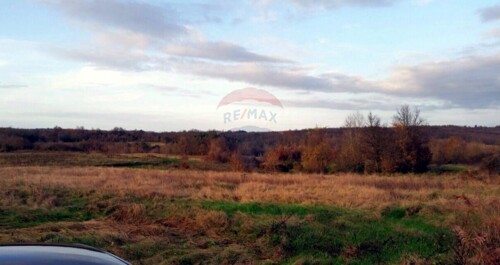 Thumbnail 5410947 - 1