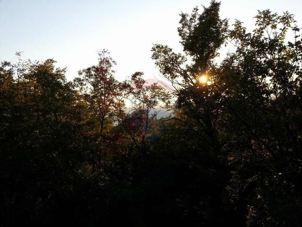 Image 5410955 - 3
